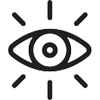 VISION
